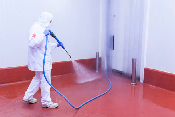 Professional Pressure Washing in Hinckley, IL