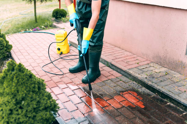 Best Fence Cleaning  in Hinckley, IL